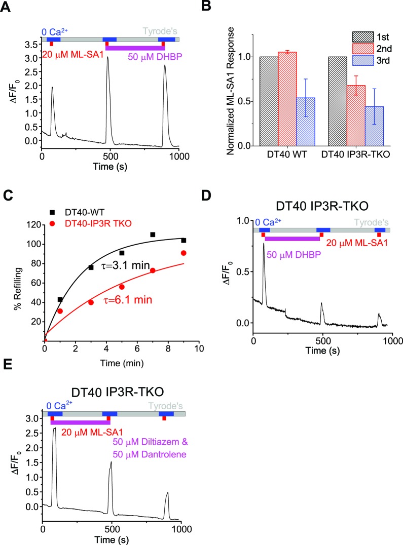 Figure 3—figure supplement 2.