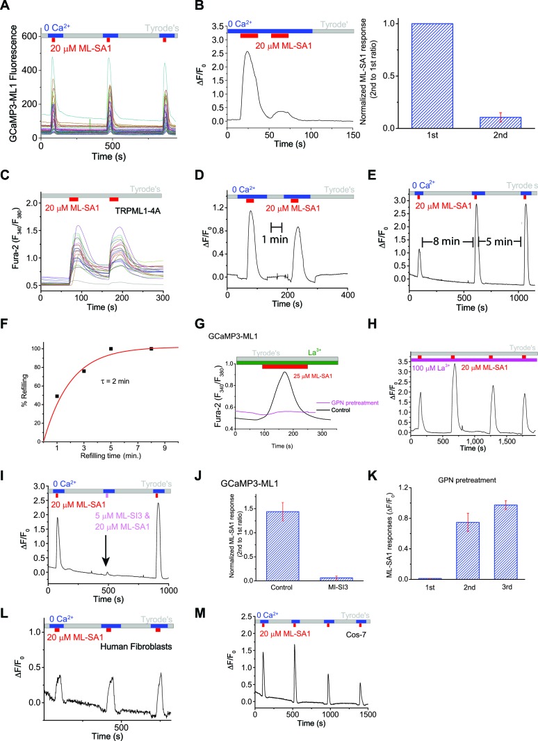 Figure 1—figure supplement 2.