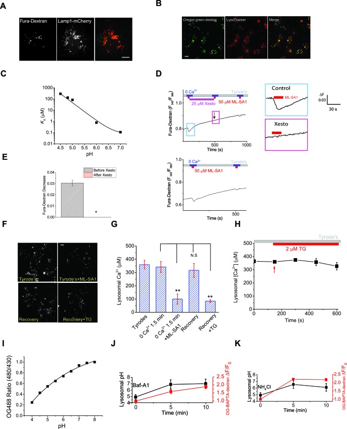 Figure 3—figure supplement 3.