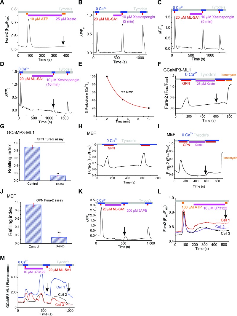 Figure 3—figure supplement 1.