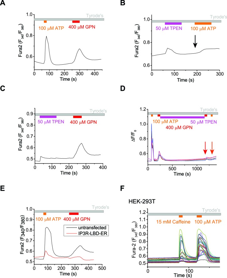 Figure 2—figure supplement 2.