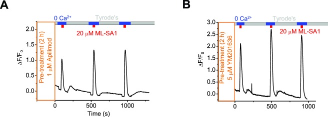 Figure 1—figure supplement 4.