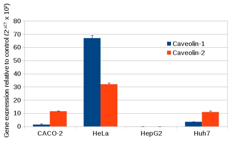 Figure 12