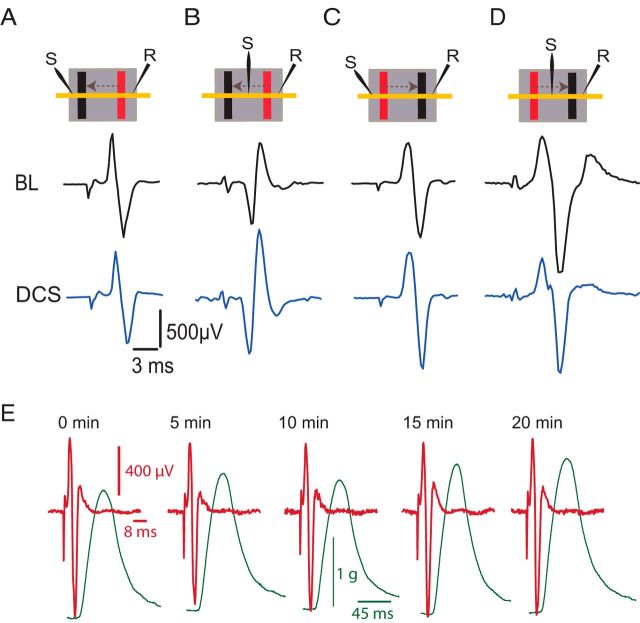 Figure 6.