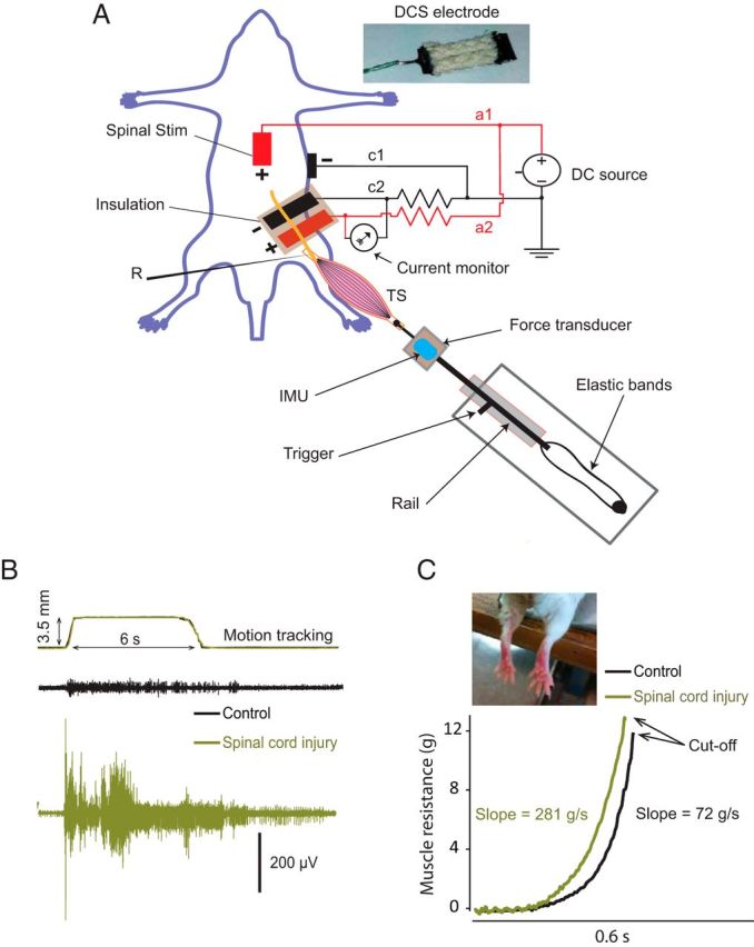 Figure 1.