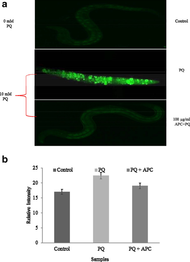 Fig. 4