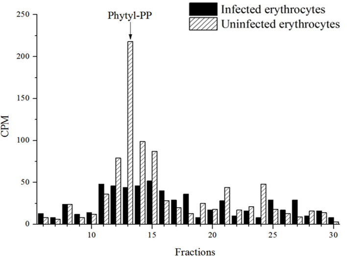Figure 5