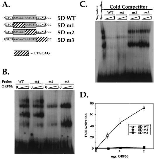 FIG. 5