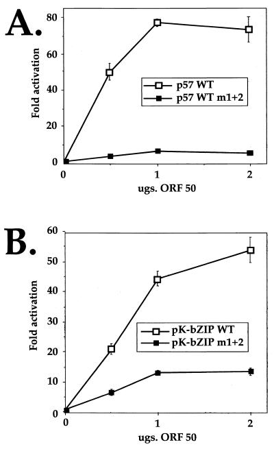 FIG. 7