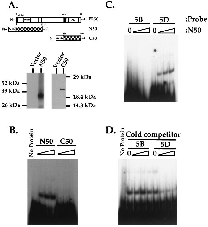 FIG. 9