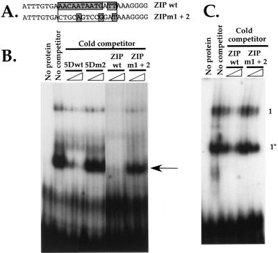 FIG. 8