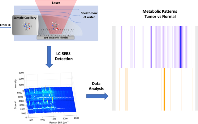 graphic file with name nihms-1064667-f0006.jpg