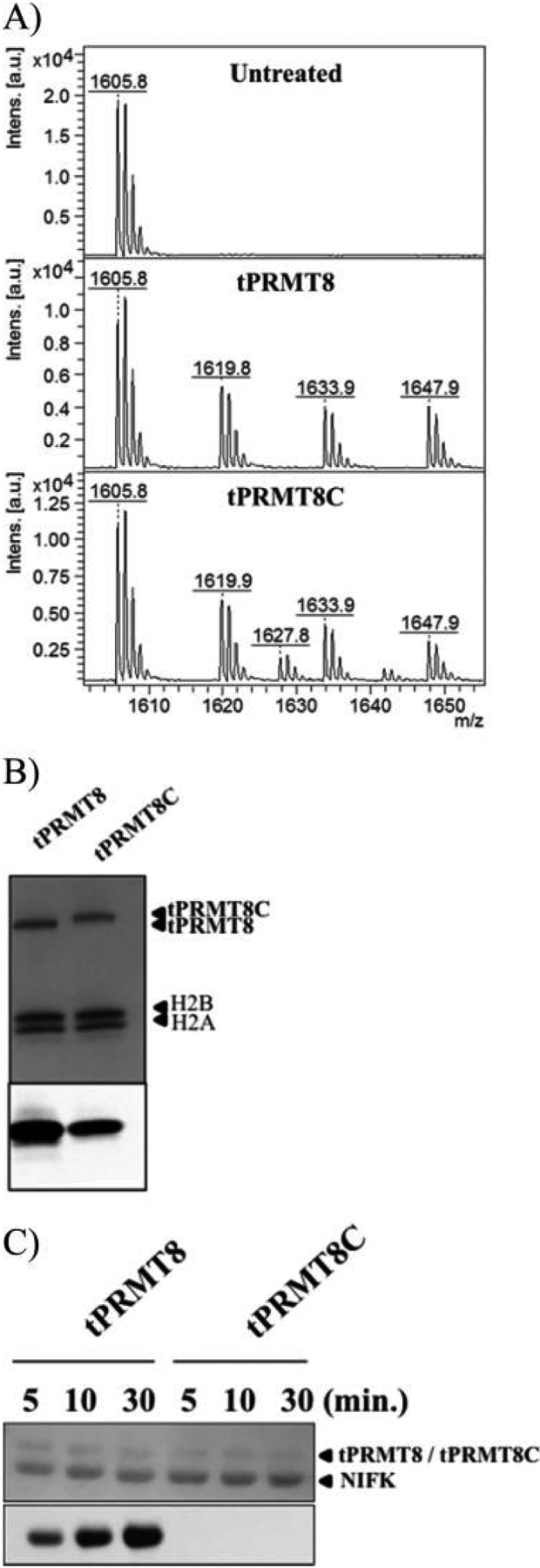 Figure 5.