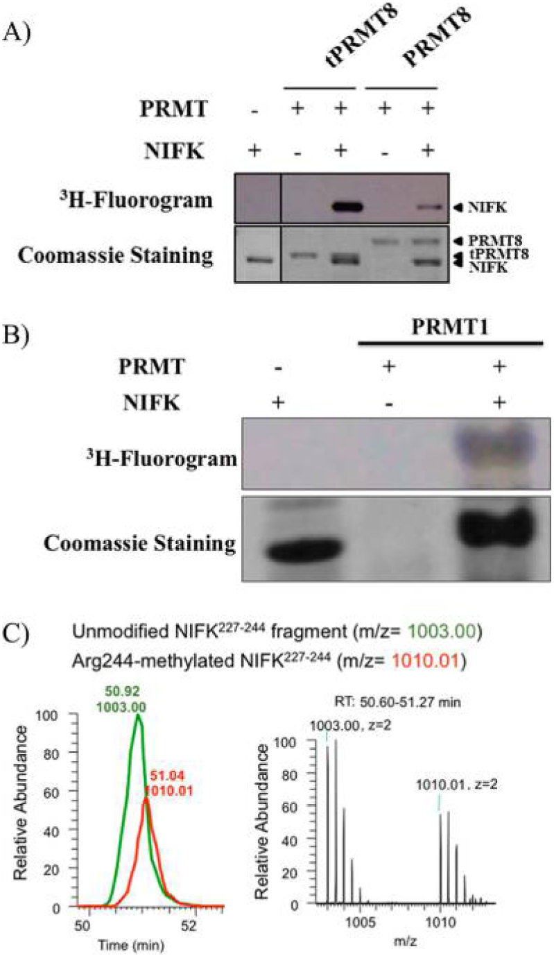 Figure 4.