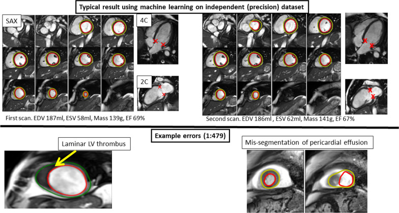 Fig. 6