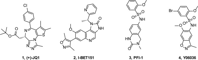 Fig. 1