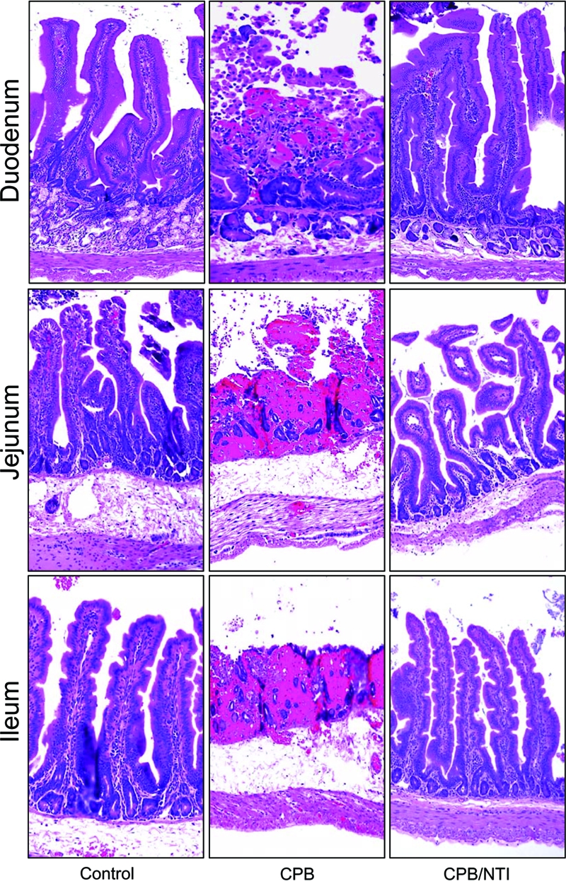 FIG. 7.