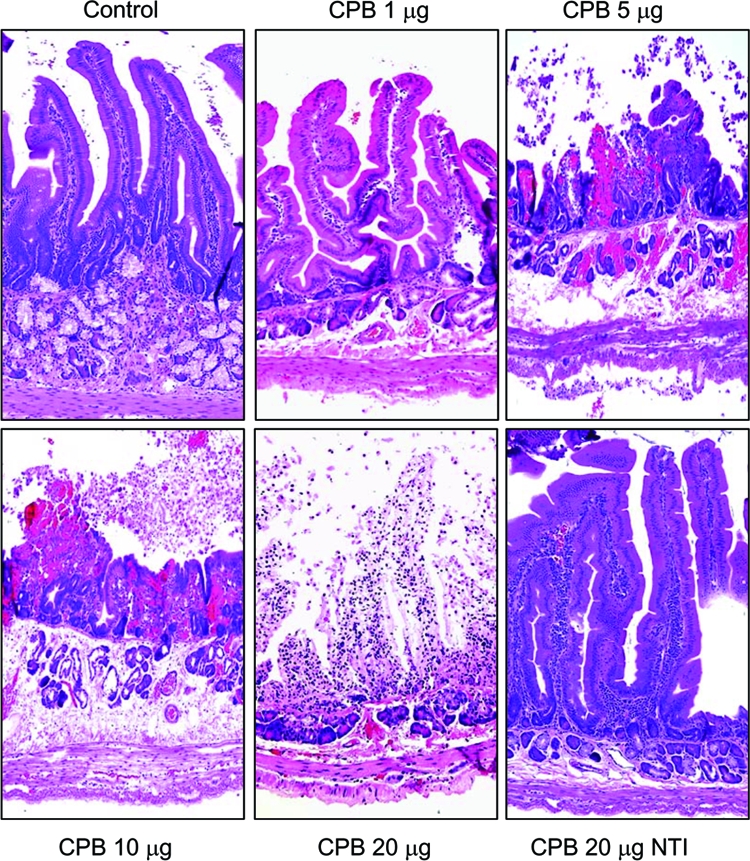 FIG. 6.