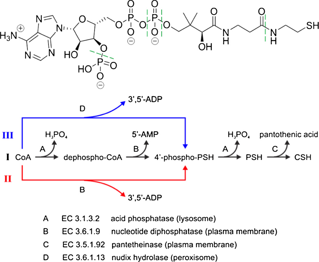 Fig. 6