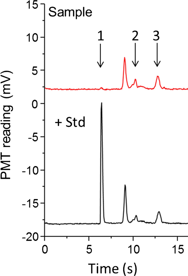 Fig. 8