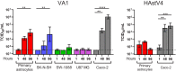 FIG 2