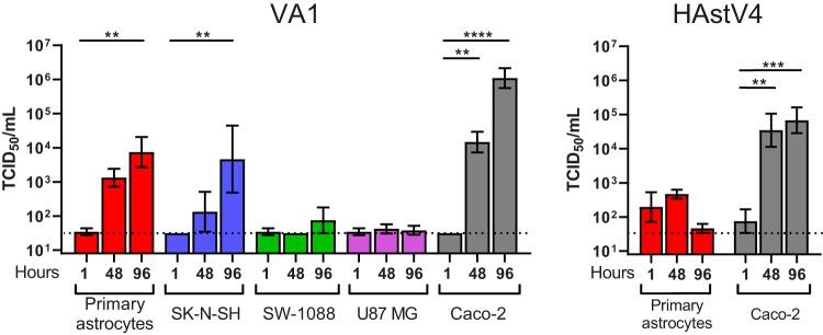 FIG 2