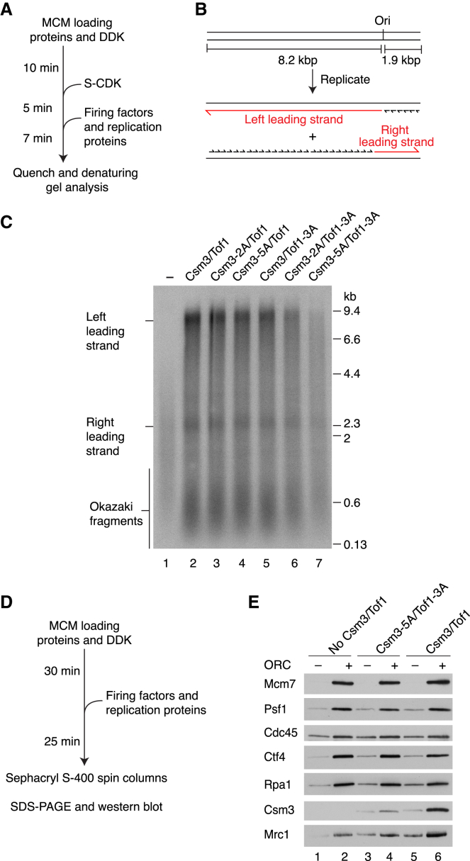 Figure 6