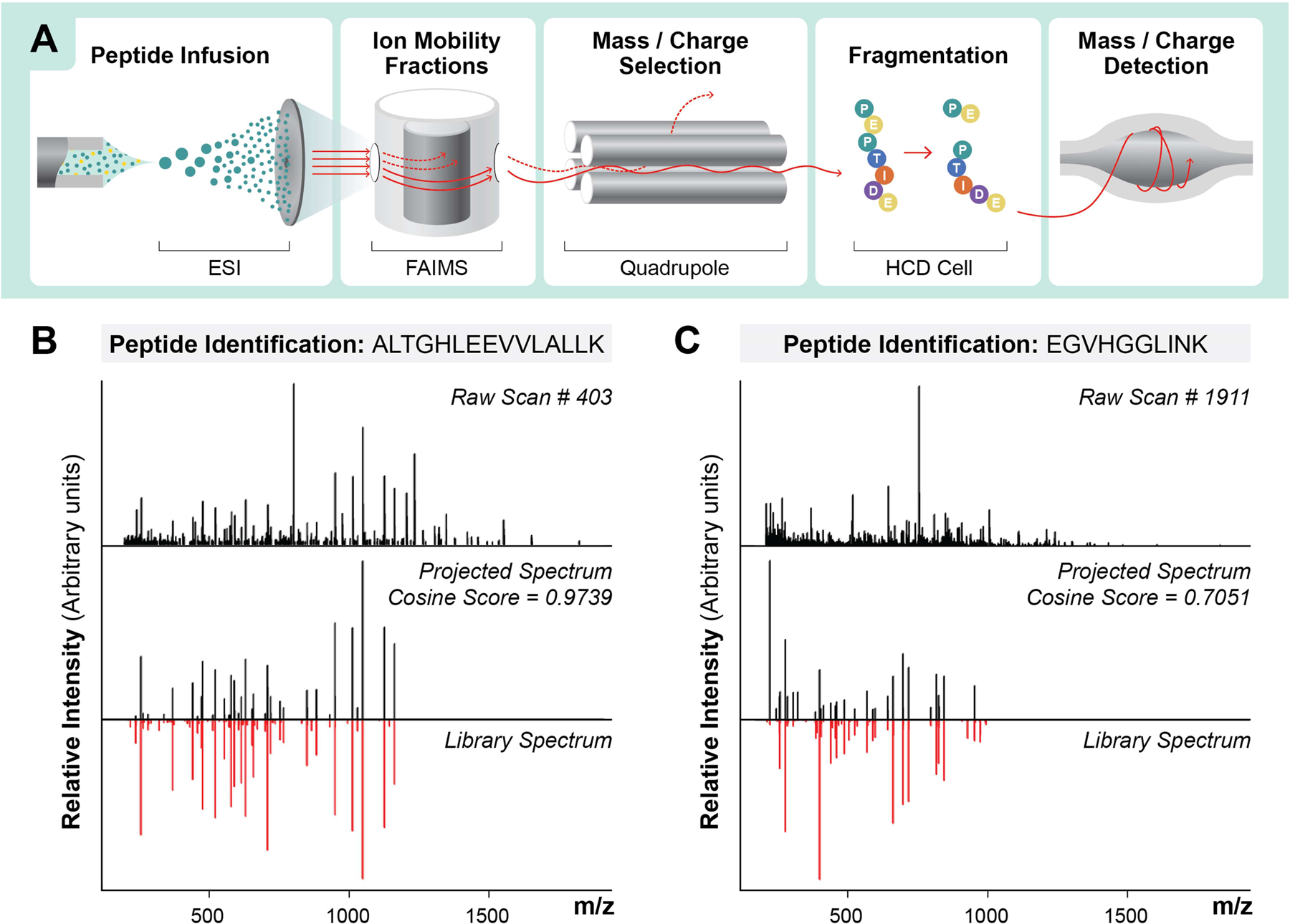 Figure 1: