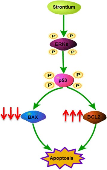 Fig. 11