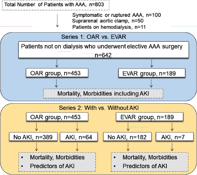 Fig. 1 Flow diagram of the study design and number of patients.