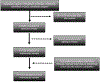 Appendix C.