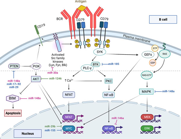 Figure 1: