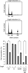 FIGURE 7.