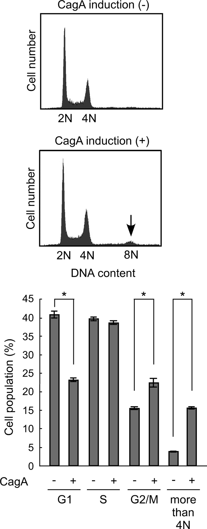 FIGURE 7.