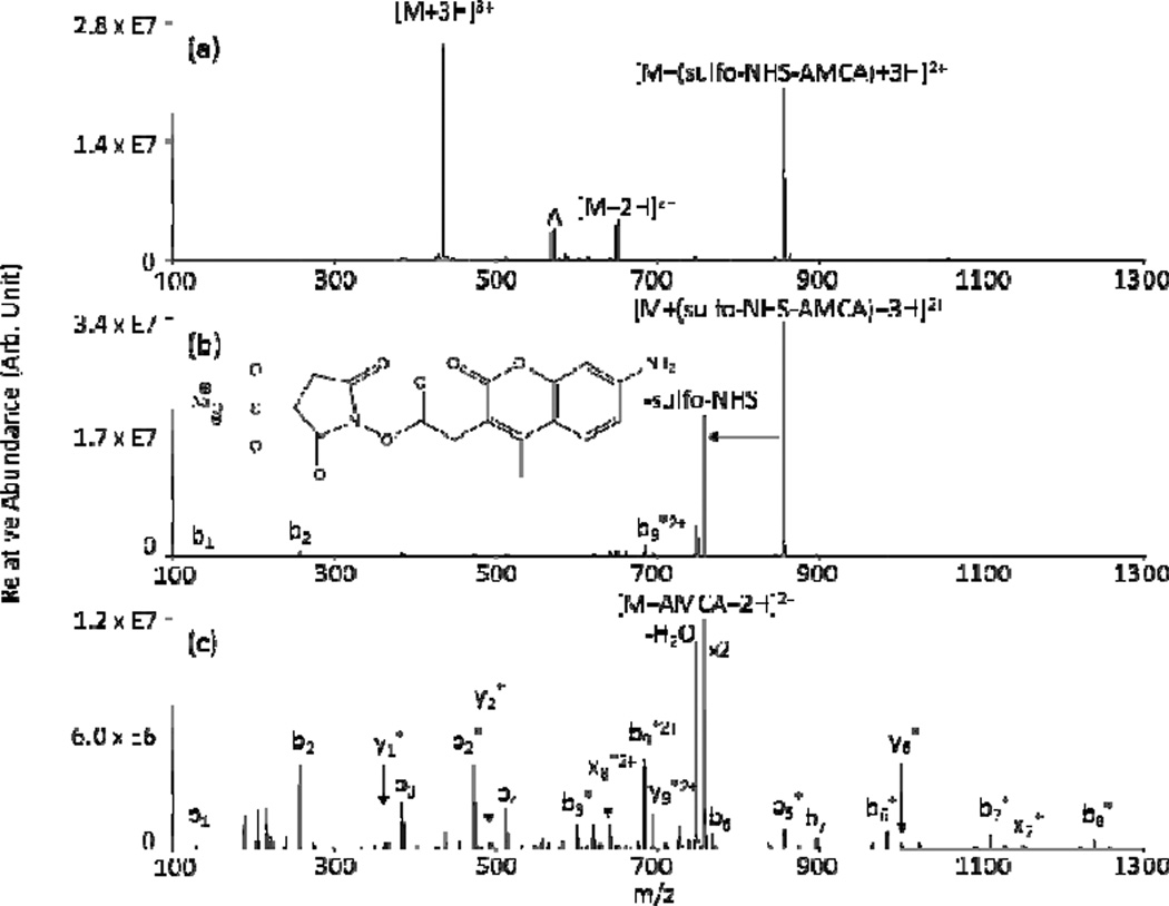 Fig. 16