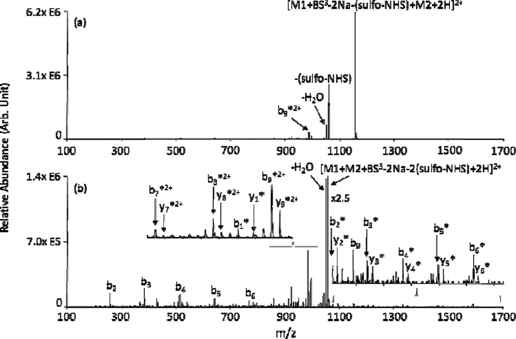 Fig. 17