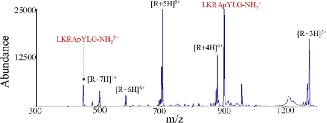 Fig. 10