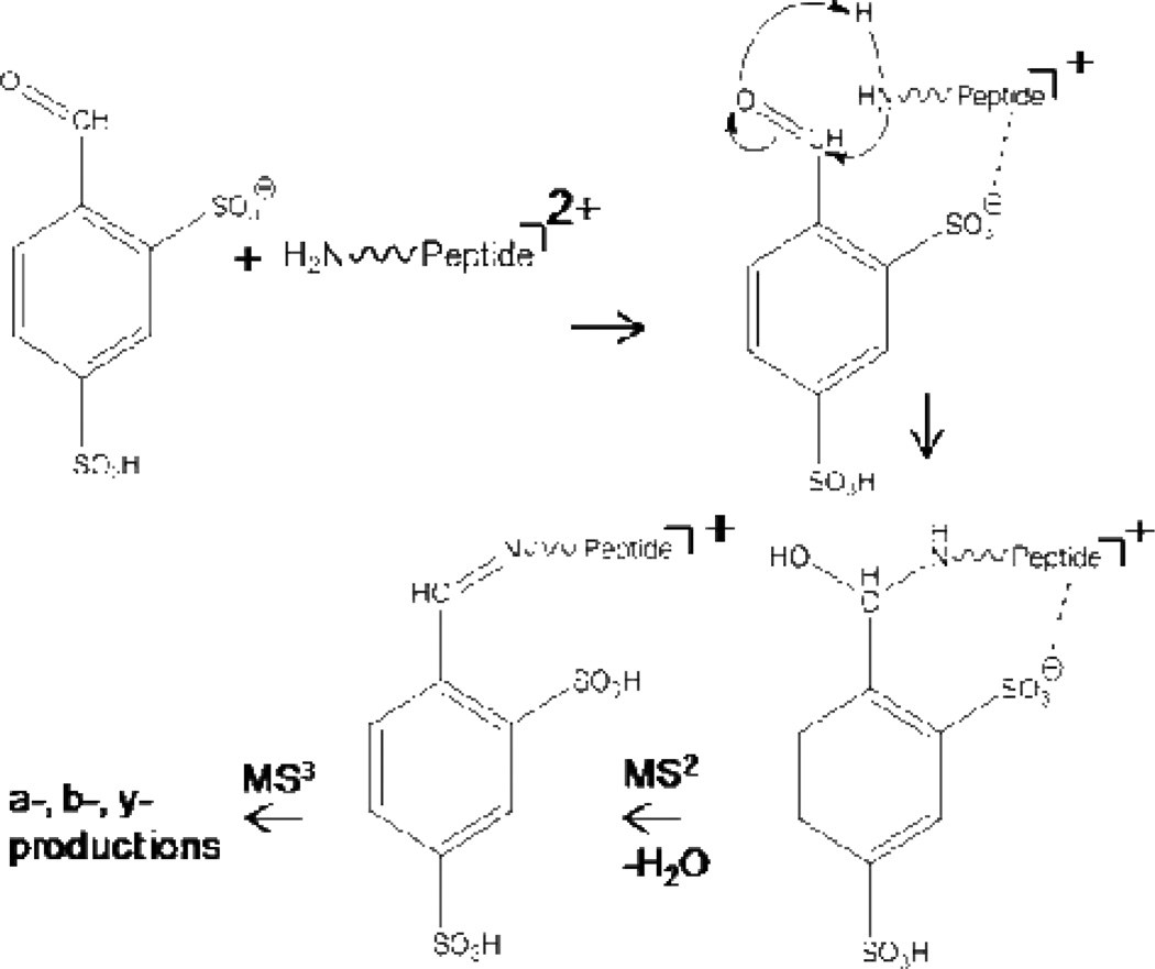 Scheme 2