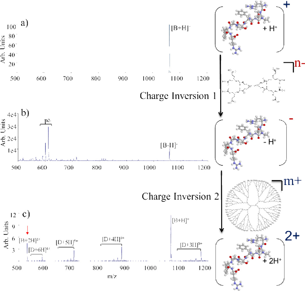 Fig. 12