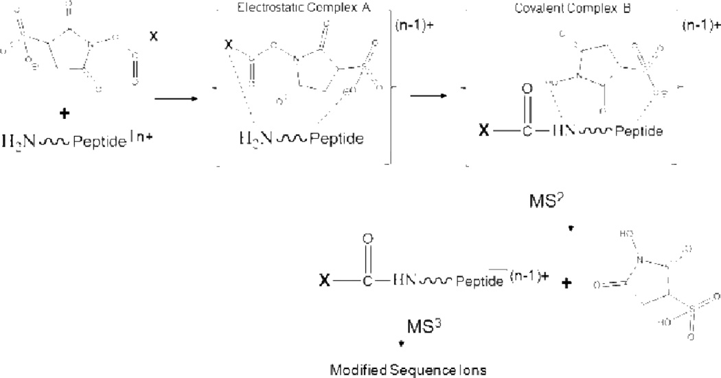 Scheme 3