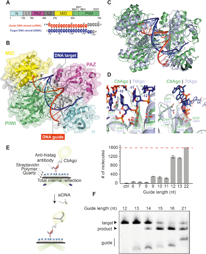 Figure 2.