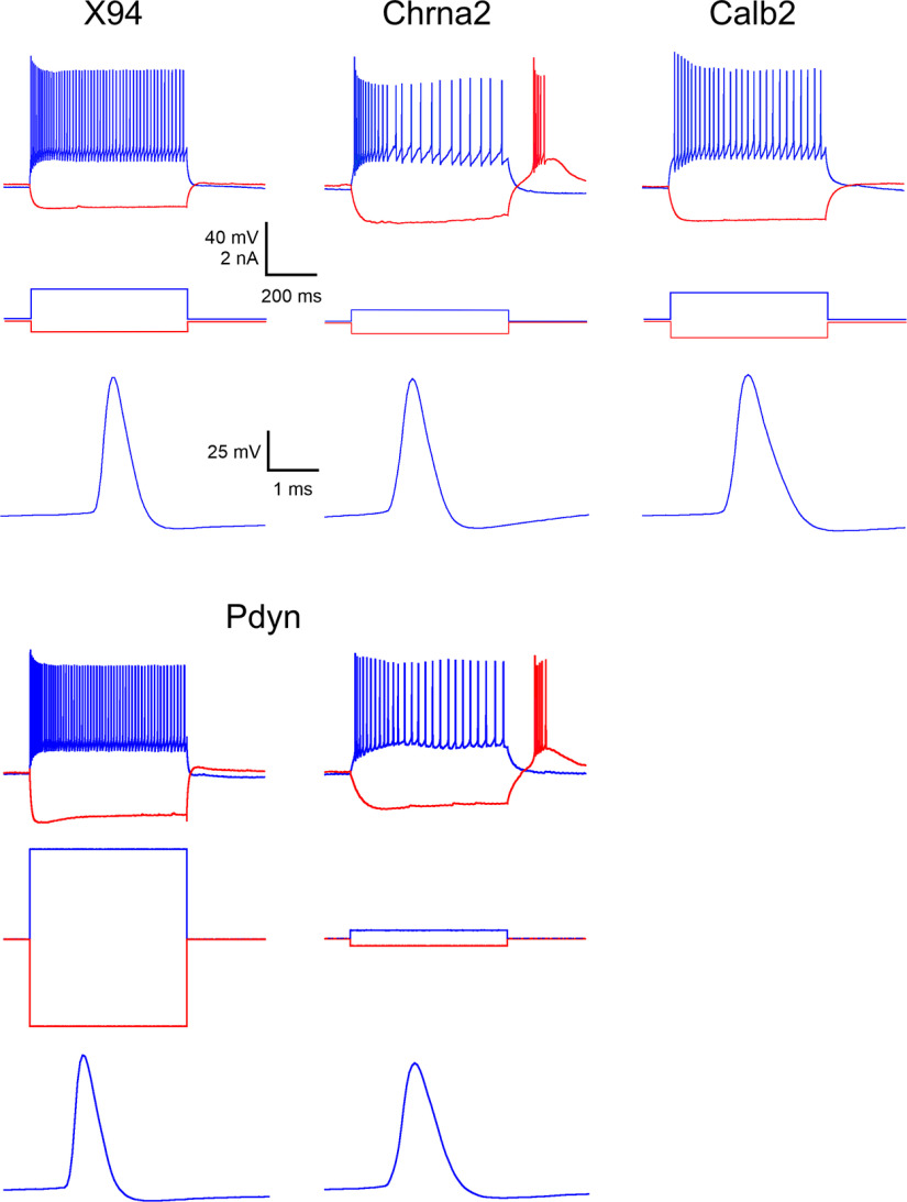 Figure 8.