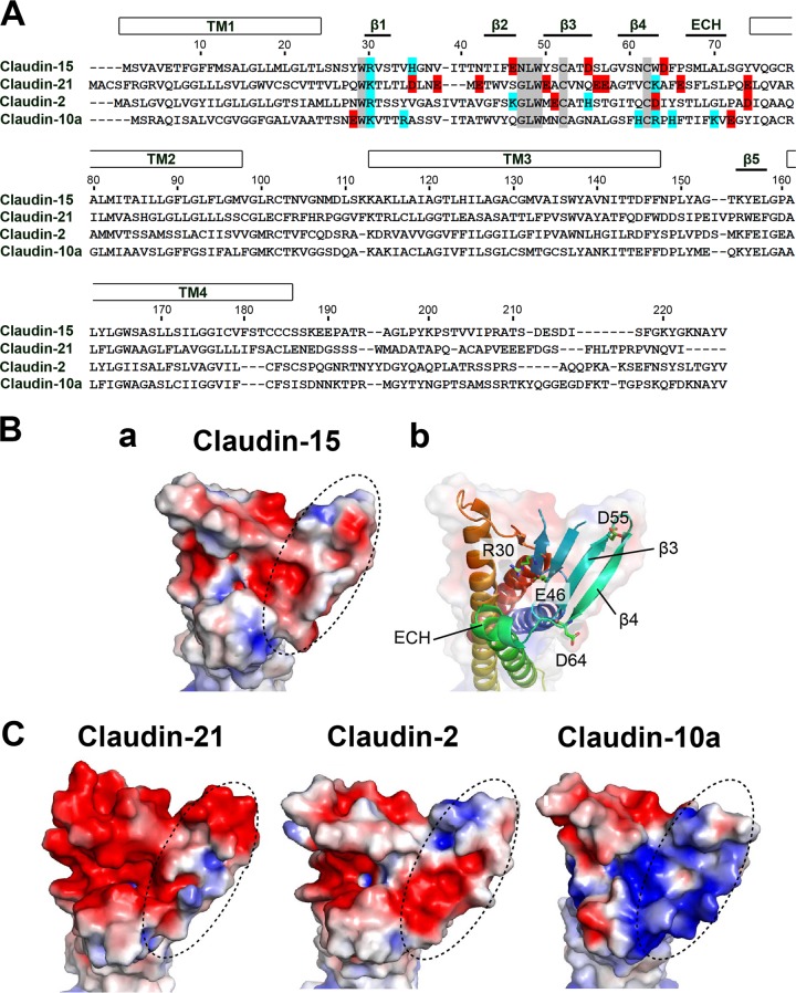 FIG 3