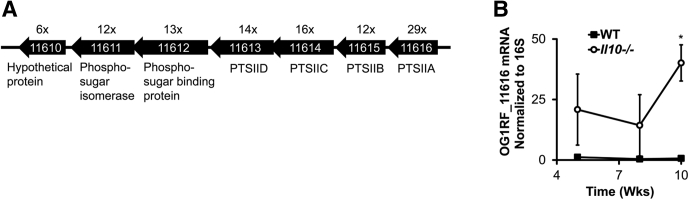 Figure 4