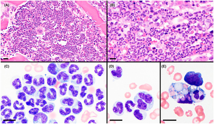 FIGURE 3