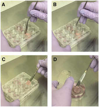 Figure 4