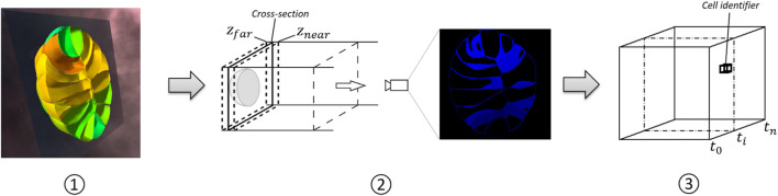 FIGURE 2