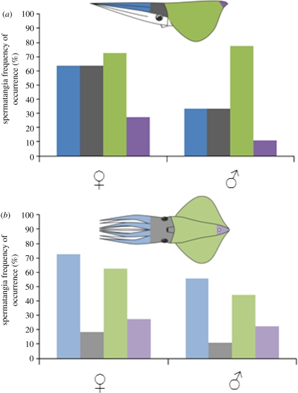 Figure 2.