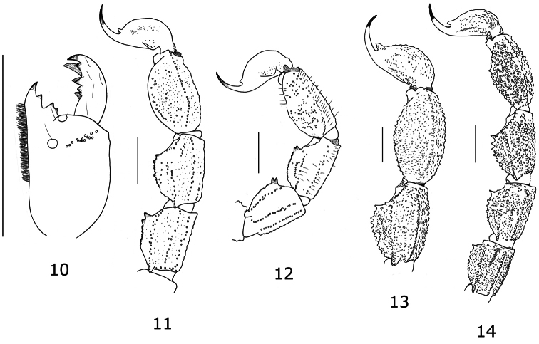 Figures 10–12.