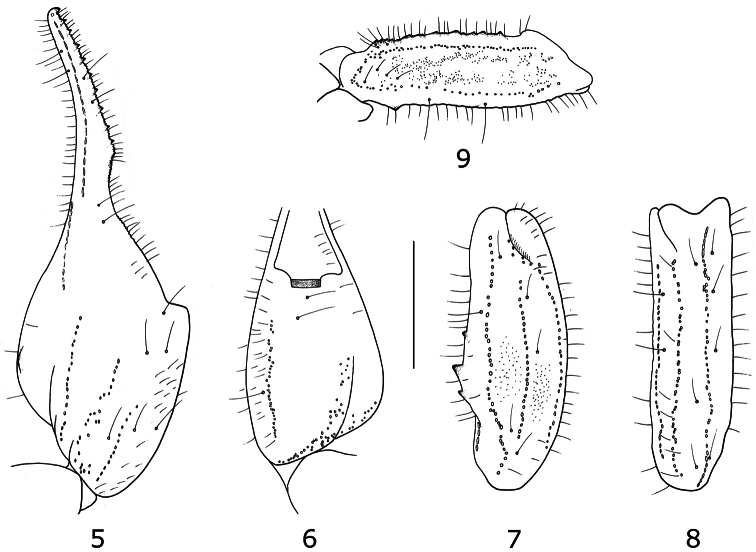 Figures 5–9.